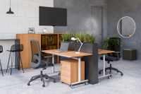 Офисная мебель для персонала Имаго-Mobile Груша Ароза