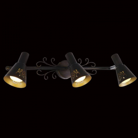 Спот Citilux CL529531 Спот Citilux CL529531