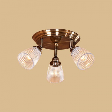 Спот Citilux CL539631 Спот Citilux CL539631
